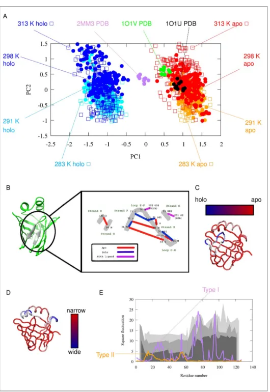 Fig 2. Description of the Type I and Tye II motions. (A) PCA (Principal Component Analysis) scatter plot of the simulated and experimentally determined conformer pool