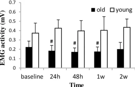 Fig 3. EMG activity (mean±SD) during a two-week eccentric-concentric knee extensor training in old and young men