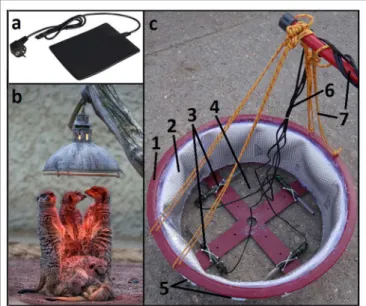 FIGURE 1 | Appliances that may be used for the realization of localized heating: (a) heat mat, (b) infrared heat lamp, as employed also for mammals in zoos (San Diego Zoo in this case), and (c) submersible heater [prototype: (1) skirting preventing heat di