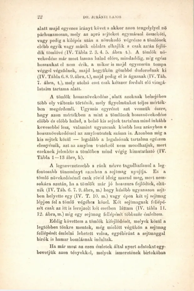 Tábla  1 — 13  ábra,  k).