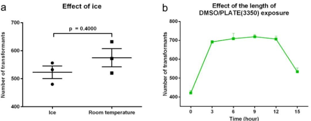 Figure  3.  Dependency  of  the  transformation  efficiency  on  the  temperature  of  the  competent  cell  preparation  and  the  length  of  +DMSO/PLATE treatment