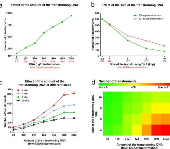 Figure  3b  reveals  the  impact  of  exposing  transforma- transforma-tion  competent  cells  to  DMSO  on  the  efficiency  of  the  transformation