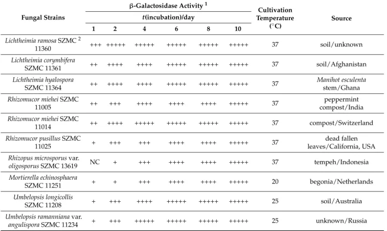 Table 1. β-Galactosidase activity, cultivation temperature and origin of Mucoromycota isolates identified as the best producers in X-gal contained medium