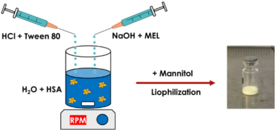 Figure 1. Preparation of meloxicam (MEL)-HSA nanoparticles using a modified coacervation method