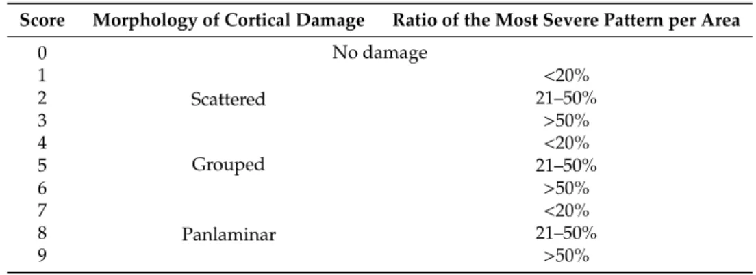 Table 1. Cortical neuronal injury was determined using a neuropathology scoring system based on the occurrence of the most severe pattern observed in 40 visual fields