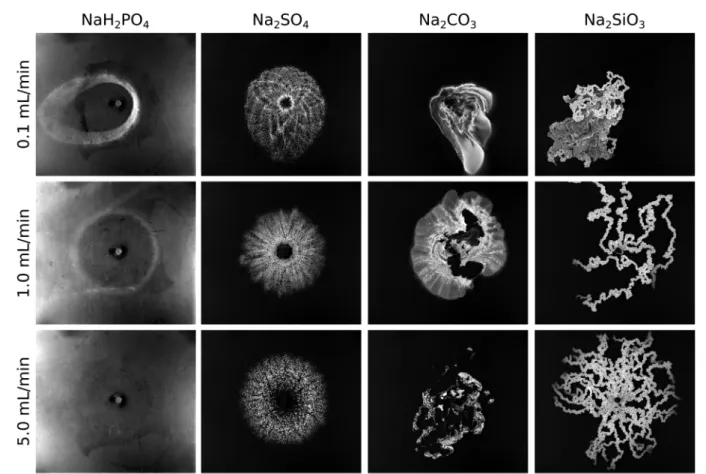 Fig. 1 Precipitation patterns observed when solutions (5 mL) of diﬀerent sodium salts displaced a calcium chloride solution at various flow rates