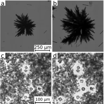 Fig. 3 Optical microscope images illustrating the growth of calcium sulphate (upper row) and carbonate (lower row) crystals