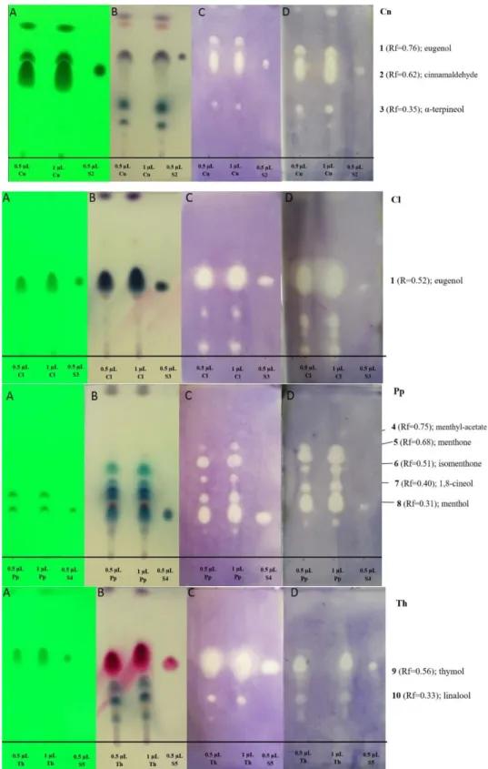 Figure 1. Antibacterial activity of essential oils (EOs) used in this study with direct bioautography  (without  TLC  separation)
