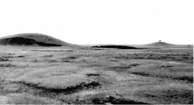 Fig. 2.: The two Török-halom kurgans on the saline grassland in Kétegyháza, 1967 (photo by Gy