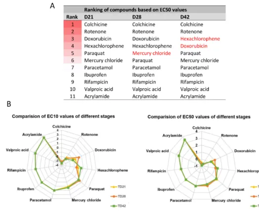 Figure 8. Comparison of the toxic effect of compounds. (A) Ranking of compounds at different differentiation stages based on EC50 values