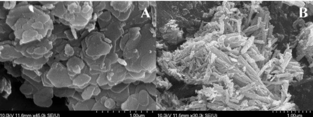 Fig. 7. TEM images of the CaIn-hydroxide-chloride side-product.