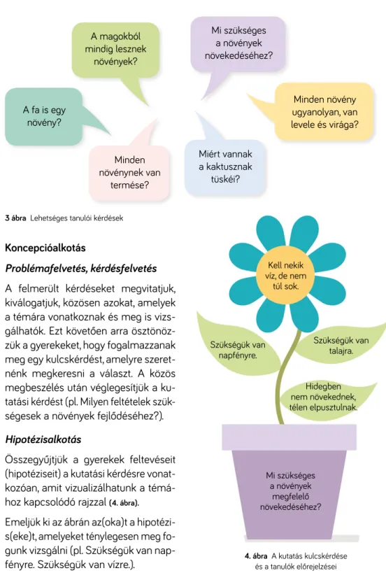 4. ábra  A kutatás kulcskérdése   és a tanulók előrejelzéseiKell nekik  víz, de nem  túl sok