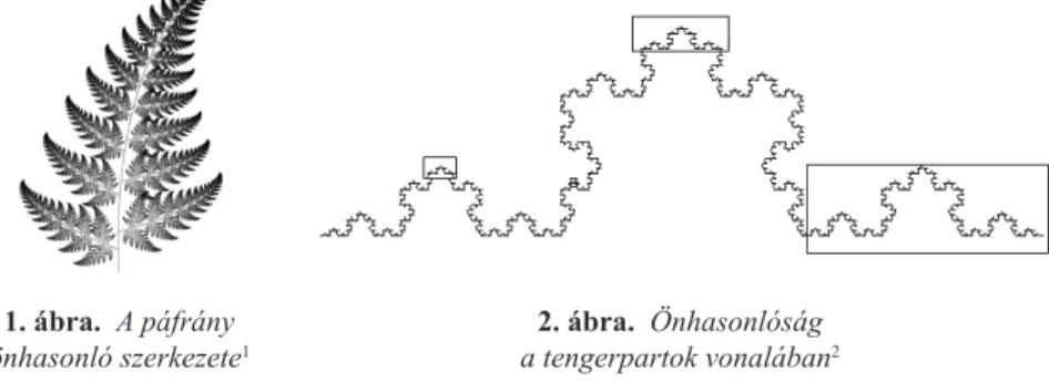  1.  ábra.  A páfrány   2. ábra.  Önhasonlóság   önhasonló szerkezete 1 a tengerpartok vonalában 2