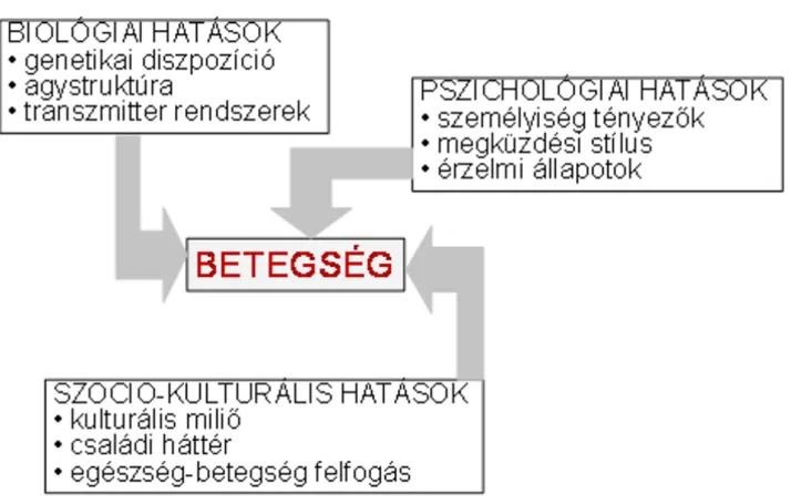 1. ábra. Engel bio-pszicho-szociális modellje