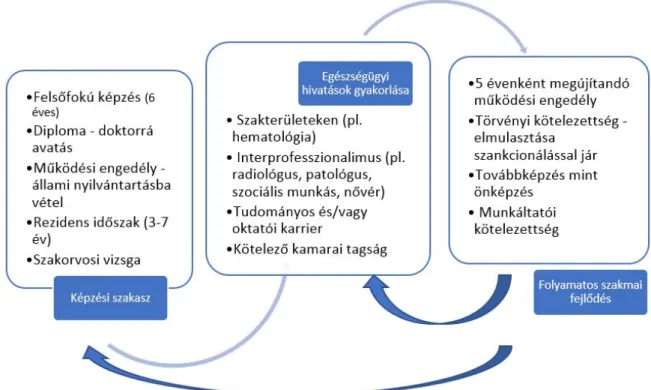 3. ábra. Az orvosi hivatás műveléséhez szükséges adminisztratív, valamint képzési és továbbképzési jellemzők