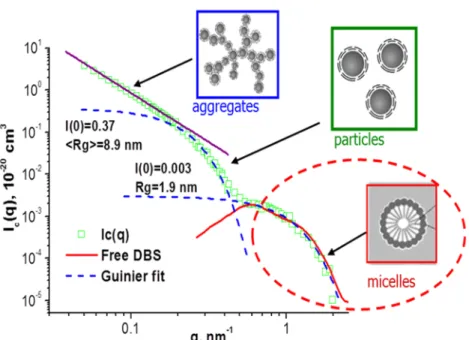 Figure 12. Complex structure of water-based ferrofluids with surfactant excess in its