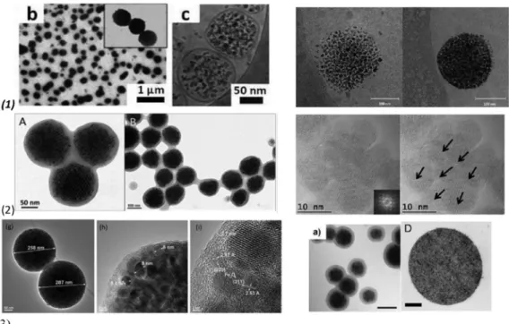 Figure 1. Magnetic multi-core particles obtained by different synthesis procedures: (1) encapsulation  of magnetic nanoparticles   ( MNPs) into liposomes, polymersome: left—TEM (b) and cryo-TEM (c)  micrographs of Ultra Magnetic Liposomes (UMLs) prepared b