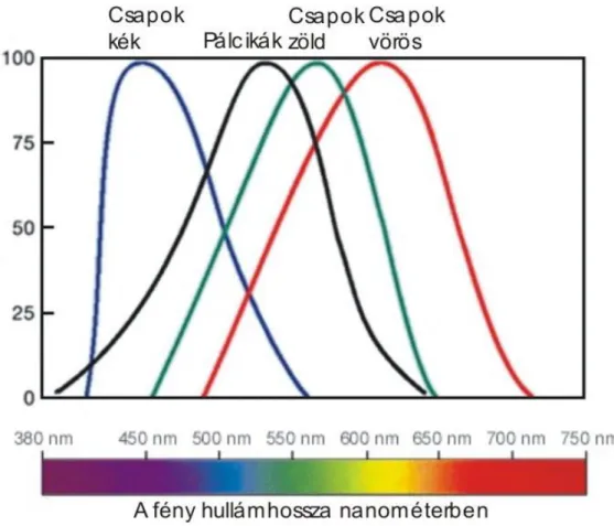 1.18. ábra - Az opponens-szín elmélet