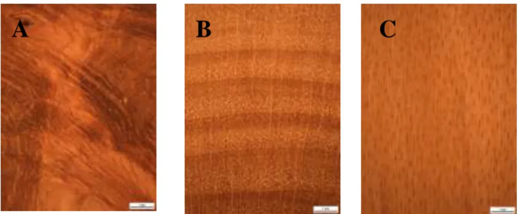 Figure  1  Macroscopic  preview  of  briarwood  and  trunk  wood:  A  –  Briarwood,  B  –  Trunk 