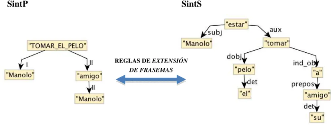 Figura 4: Representación aproximada de la estructura de sintaxis profunda (SintP)   y de sintaxis de superficie (SintS)