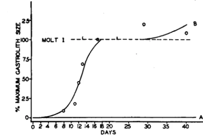 FIG. 7.—Curve B shows rate of gastrolith formation following eyestalk removal in  Cambarus immunis