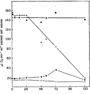 Fig. 8. Effect of cyanophage LPP-1 on photosynthesis and dark respiration by Plec- Plec-tonema boryanum