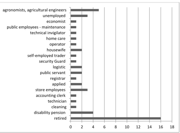 Figure 6: The occupation of the respondents 