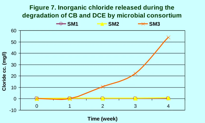 Figure 7. Inorganic chloride released during the  degradation of CB and DCE by microbial consortium