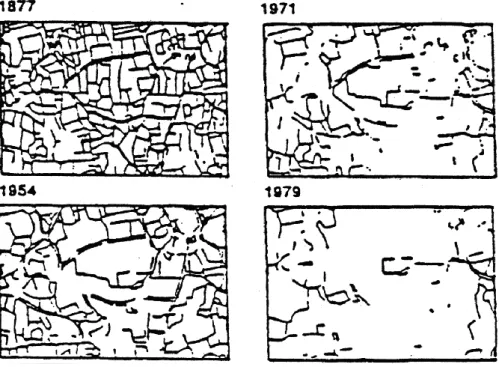 8. ábra: Az agrártáj biotóphálózatának változása   (Schleswig - Holstein) (Knauer, 1980) 