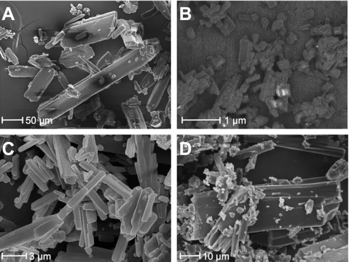Fig. 5. SEM images of (a) conventional NIF, (b) NIF produced by electrospray crystallization (NIF-NANO), (c) NIF produced by anti-solvent crystallization (NIF-AC) and (d) NIF produced by solvent evaporation (NIF-SE).