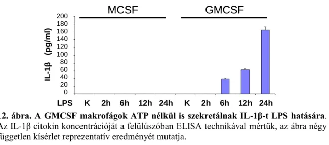 12. ábra. A GMCSF makrofágok ATP nélkül is szekretálnak IL-1β-t LPS hatására. 
