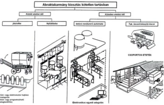 21. ábra: Abraktakarmány kiosztás gépesítése kötetlen tartásban