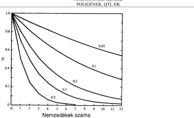 3.3  ábra  Az  egyensúlyhiány  változása  véletlenszerű  párosítás  hatására  különböző  rekombinációs  gyakoriság esetén (Falconer, 1986)