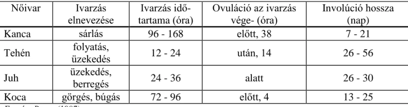 11. táblázat: Gazdasági állataink ivarzása és az involúció várható hossza  Nőivar  Ivarzás  elnevezése  Ivarzás  idő-tartama (óra)  Ovuláció az ivarzás vége- (óra)  Involúció hossza (nap)  Kanca  sárlás  96 - 168  előtt, 38  7 - 21  Tehén  folyatás,  üzeke