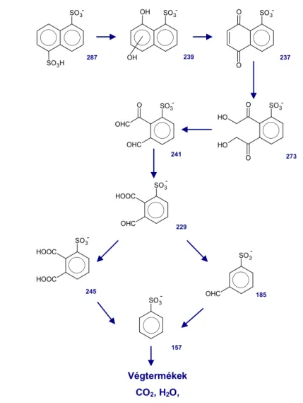 3. ábra: Javasolt reakcióút az 1,5-naftalin-diszulfonát fotokémiai bontására [55]. 