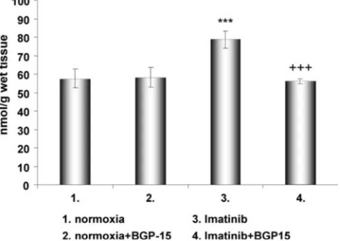 Fig. 3 Effect of BGP-15 and/or Imatinib on cardiac ATP levels in Langendorff perfused rat hearts