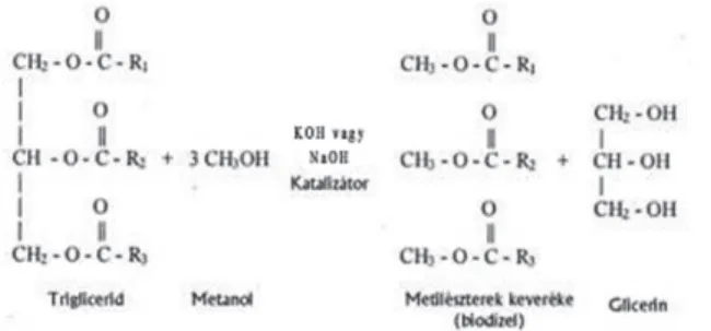 6. ábra: A biodízel gyár- gyár-tás kémiai reakciójának  vázlata  (Gerpen, 2005)