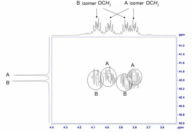 1. ábra:  1 H– 31 P HMBC felvétel részlete a bisz(etil-fenilfoszfinátometil)-ciklohexil-aminról 