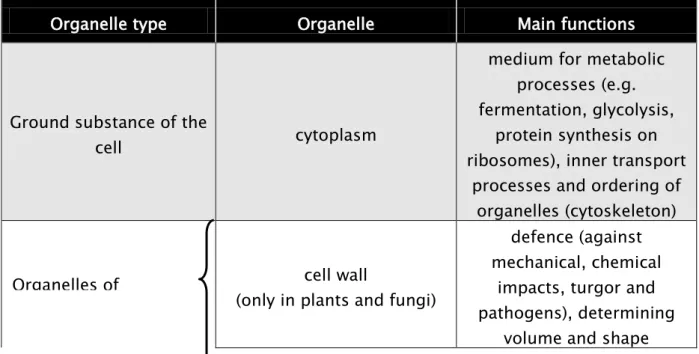 Table  4. Overview of the most important organelles of the eukaryotic  cell. 