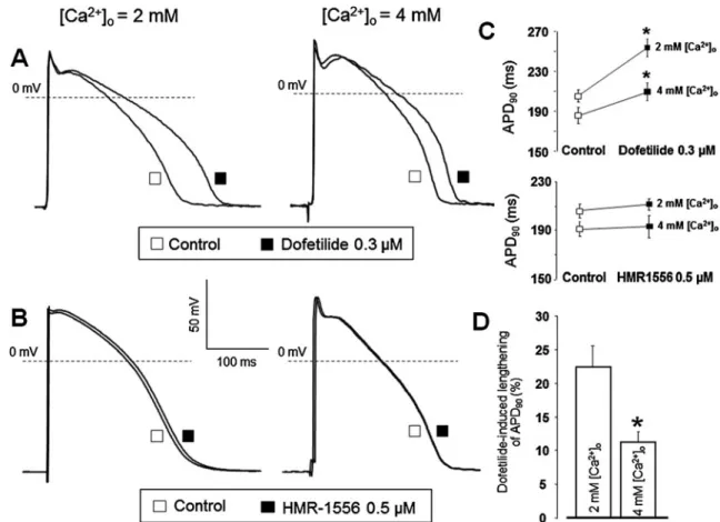 Fig. 8 In canine papillary muscles elevated [Ca 2+ ] o significantly attenu- attenu-ated the contribution of I Kr to repolarization (i.e., its action potential lengthening effect) with no apparent effect on I Ks 