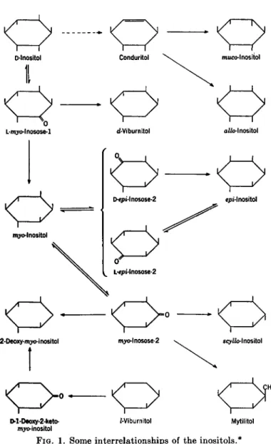 FIG. 1. Some interrelationships of the inositols.* 