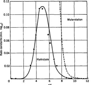 FIG. 1. Rate constants for mutarotation and hydrolysis of L-arabinosylamine. 