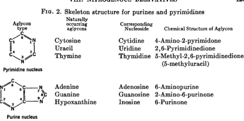 FIG. 2. Skeleton structure for purines and pyrimidines 