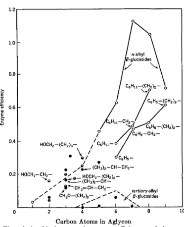 FIG. 6. The relationship between the enzyme efficiency and the number of the  carbon atoms in the aglycon groups of alkyl 0-glucosides