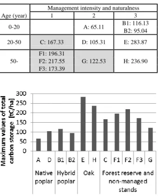 Fig. 3. Carbon stocks in the main compartments of the sample area  B1 (hybrid poplar plantation stand)