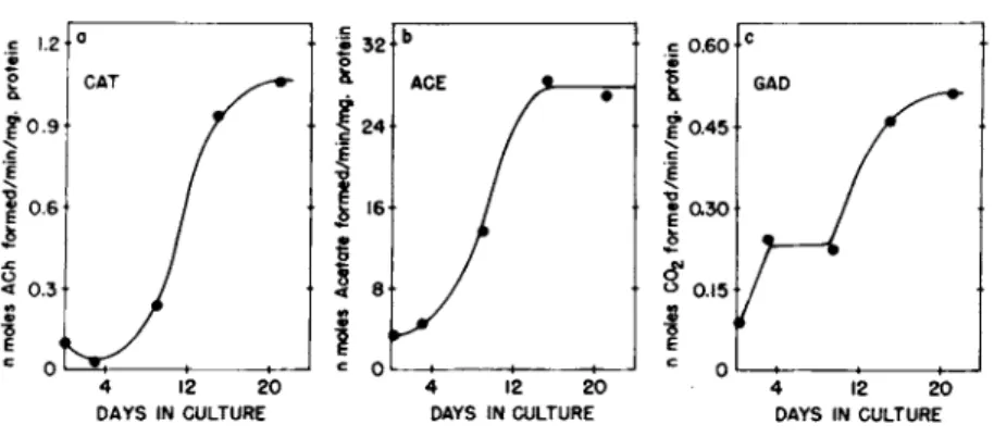 FIGURE 3 Biochemical Differentiation in Aggregate Culture,  The development of choline acetyl transferase (a},  acetylcho-linesterase (bl , and glutamate decarboxylase Qc) are shown as a  function of time in culture