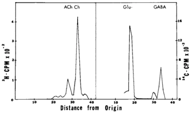FIGURE 4 Neurotransmitter Synthesis in Reaggregate Cultures. 