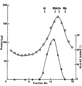 FIGURE 6 Sucrose density gradient centrifugation of BRI8  plasma membrane solubilised in l°/o sodium deoxycholate