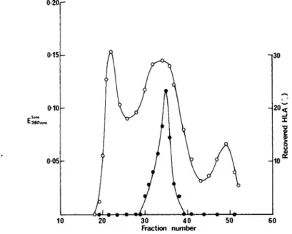 FIGURE 1 Fractionation of BRI8 plasma membrane solubilised in  sodium deoxycholate by gel-filtration on Ultragel AcA 34