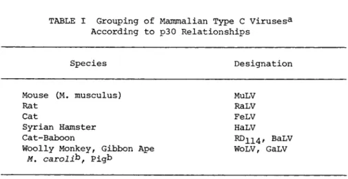 TABLE I Grouping of Mammalian Type C Viruses a  According to p30 Relationships 